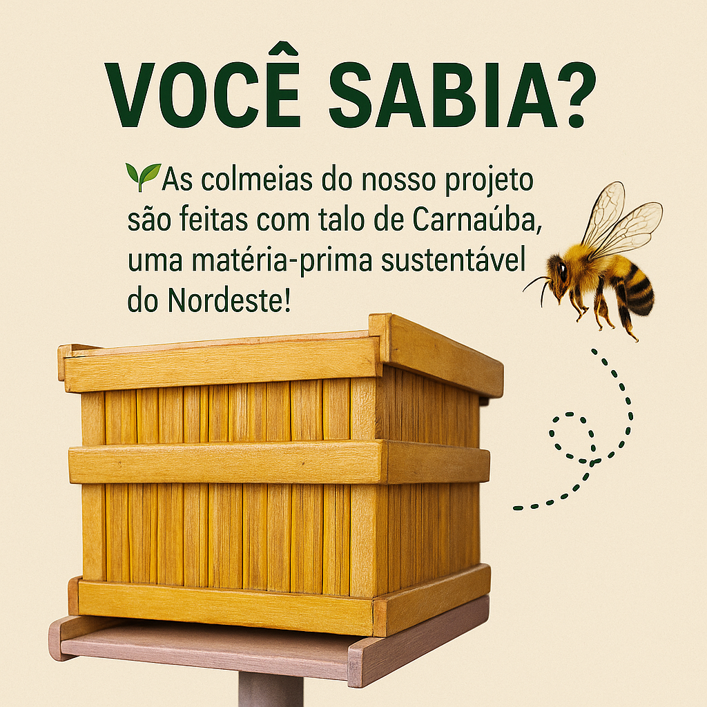 01 - Você Sabia(1).png
